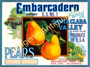 EMBARCADERO BRAND U.S. Nº 1 - PEARS