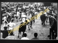 Pamplona - Los toros entran en la plaza con los mozos unidos a e