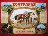 ZOOTROFOS - REGENERADOR DE ANIMALES PARA RAZAS CABALLAR Y BOVINA