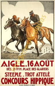 AIGLE CONCOURS HIPPIQUE