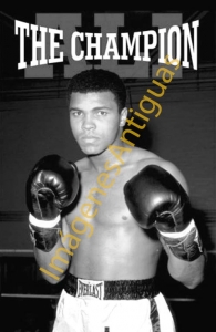 ALI THE CHAMPION