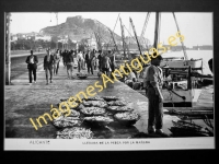 Alicante - Llegada de la pesca por la mañana