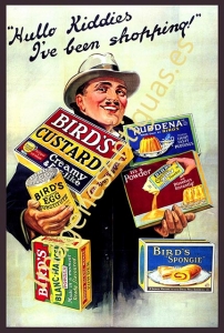 BIRD'S CUSTARD