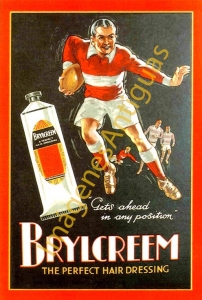 BRYLCREEM THE PERFECT HAIR DRESSINNG