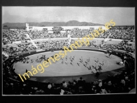 Benidorm - Interior de la Plaza de Toros