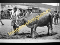 Bilbao - Basurto - De la Feria. Tipos vizcainos