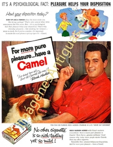 CAMEL