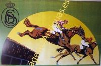 CARRERA DE CABALLOS