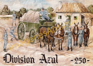DIVISION AZUL 250