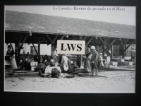 A Coruña - Envase de pescado en el Muro