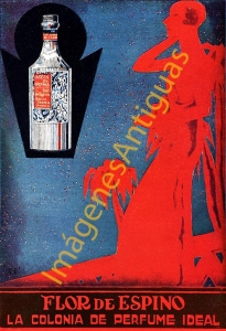 FLOR DE ESPINO LA COLONIA DE PERFUME IDEAL