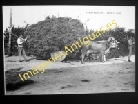 Fuenterrabia - Carro de vacas