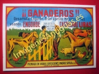 ¡GANADEROS! ENGORDE CASTELLANO LIRAS - MEJORES CRÍAS