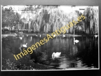 Gijón - Parque de Isabel La Católica. El lago de los Cisnes