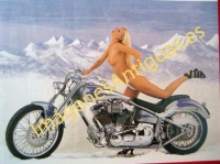 HARLEY DAVIDSON