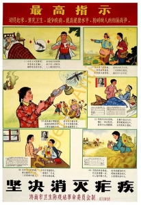 INSECTICIDAS