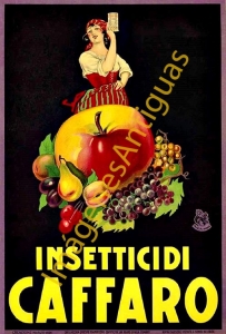 INSETTICIDI CAFFARO