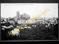 Irún - La Iglesia mirada desde los juncales