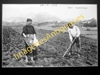 Irún - Vida en el Campo