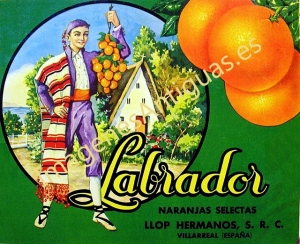 LABRADOR NARANJAS SELECTAS - LLOP HERMANOS VILLARREAL CASTELLÓN