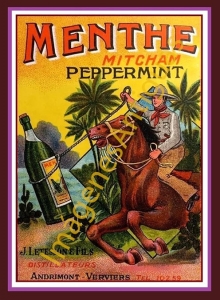 MENTHE MITCHAM PEPPERMINT