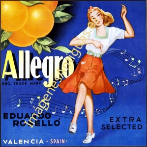 NARANJAS ALLEGRO, EXTRA SELECTA - EDUARDO ROSELLÓ - VALENCIA