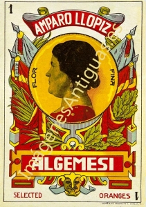 NARANJAS AMPARO LLOPIZ - ALGEMESÍ VALENCIA