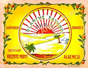 NARANJAS BLANCHE FAVAND - ALGEMESÍ VALENCIA