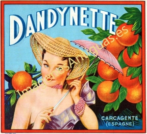 NARANJAS DANDYNETTE - CARCAGENTE