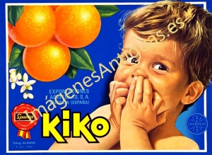 NARANJAS KIKO - VALENCIA