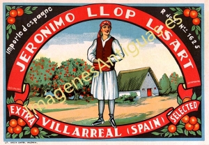 NARANJAS JERONIMO LLOP LISART - VILLARREAL - CASTELLÓN