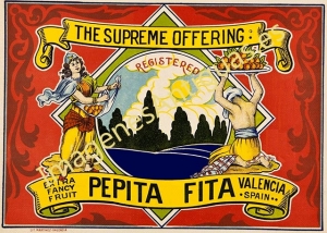 NARANJAS PEPITA FITA - VALENCIA