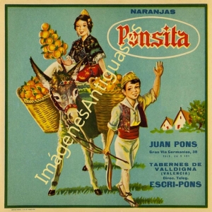NARANJAS PONSITA - VALENCIA
