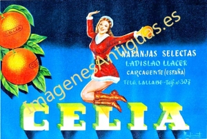 NARANJAS SELECTAS CELIA - CARCAGENTE - VALENCIA