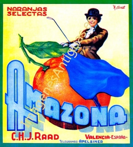 NARANJAS SELECTAS AMAZONA C.H.J.RAAD - VALENCIA