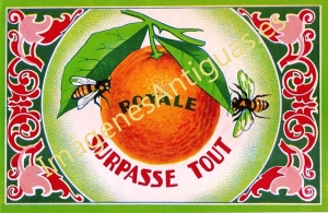 NARANJAS SURPASSE TOUT