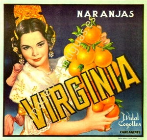 NARANJAS VIRGINIA - CARCAGENTE - VALENCIA