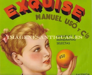 NARANJAS Y MANDARINAS SELECTAS EXQUISE - MANUEL USÓ - VALENCIA