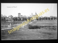 Neguri - campos de Neguri