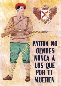 PATRIA NO OLVIDES NUNCA A LOS QUE POR TI MUEREN