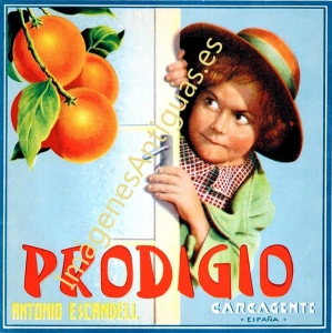 PRODIGIO NARANJAS - ANTONIO ESCANDELL - CARCAGENTE - VALENCIA