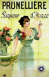 PRUNELLIÈRE LIQUEUR D'ALSACE