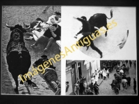 Pamplona - Encierro de los toros