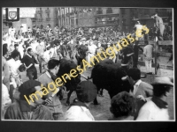 Pamplona - Fiestas de San Fermín. Encierro de los toros