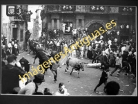 Pamplona - Fistas de San Fermín. El encierro de los toros