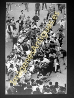 Pamplona - San Fermines. Vaquillas en la Plaza de Torros