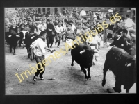 Pamplona - San Fermines. Encierro de los Toros