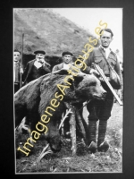 Picos de Europa - La Caza del Oso