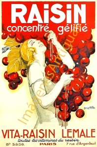 RAISIN CONCENTRÉ GÉLIFIÉ