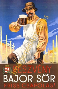 RESZVENY BAJOR SÖR FRISS CSAPOLA´S